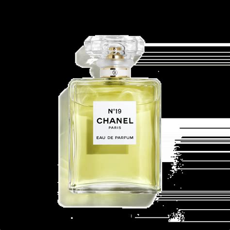 chanel n 19|N°19 Eau De Parfum Spray (EDP) .